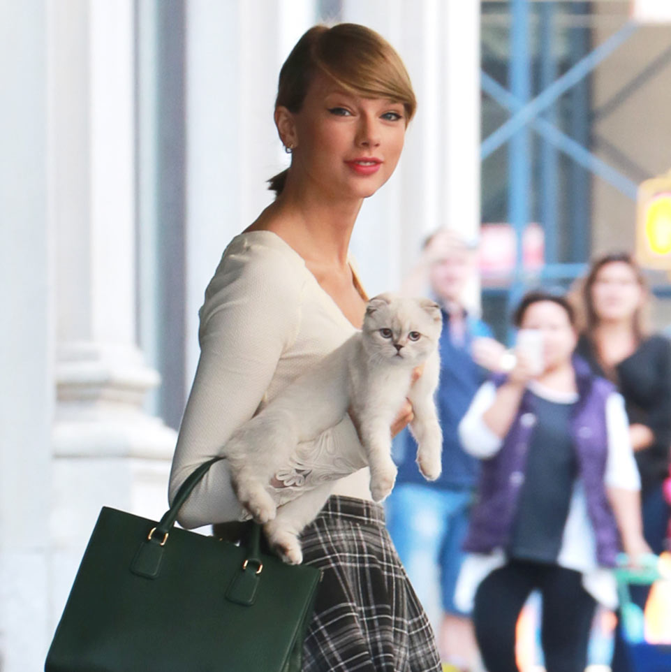 Taylor Swift và mèo Meredith